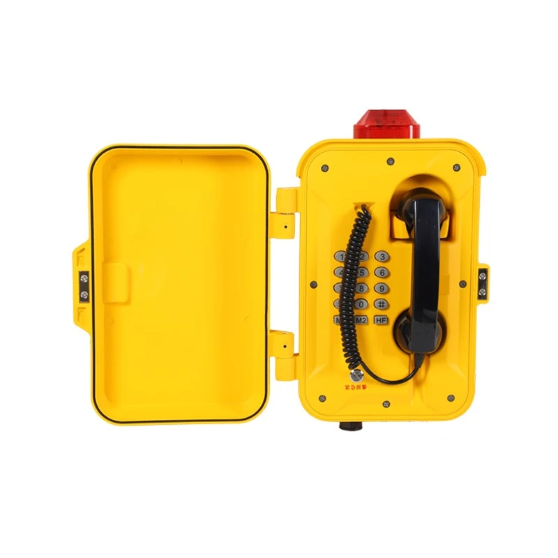 Public Weatherproof Telephone